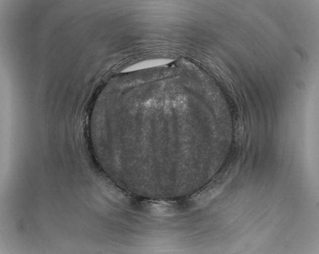 X0000110890229200907091401