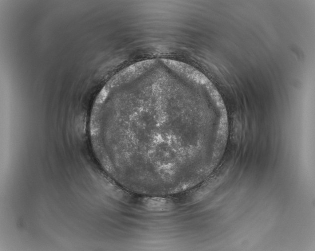 X0000110890230200907091401