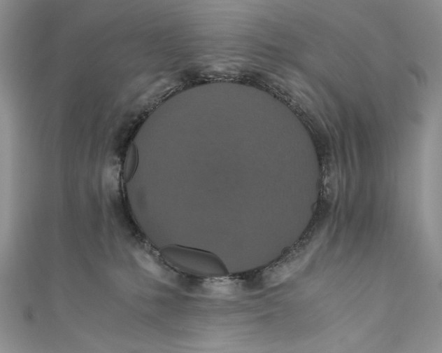 X0000110890231200907091401