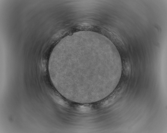 X0000110890232200907091401