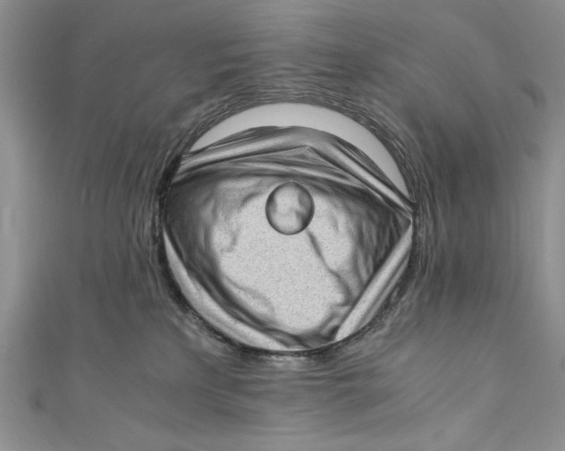 X0000110890233200907091401