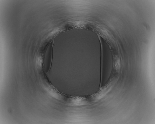 X0000110890235200907091401