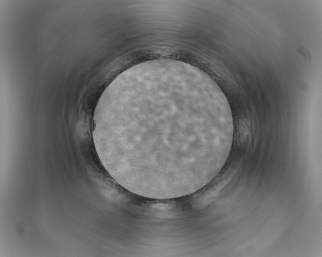 X0000110890236200907091401