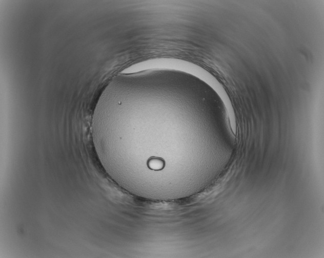 X0000110890237200907091401