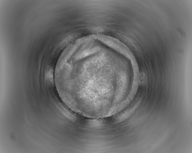 X0000110890238200907091401