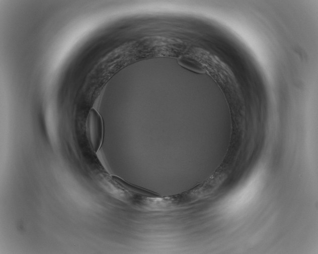 X0000110890239200907091401