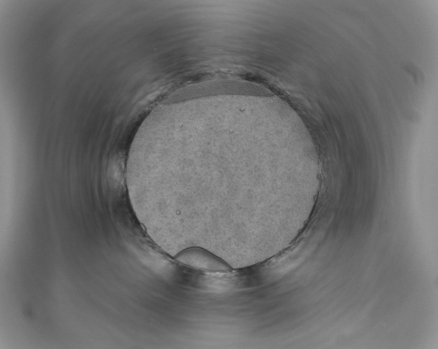 X0000110890240200907091401