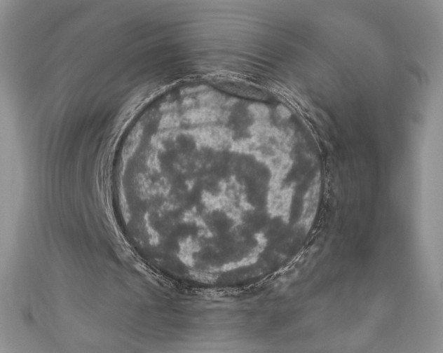 X0000110890241200907091400