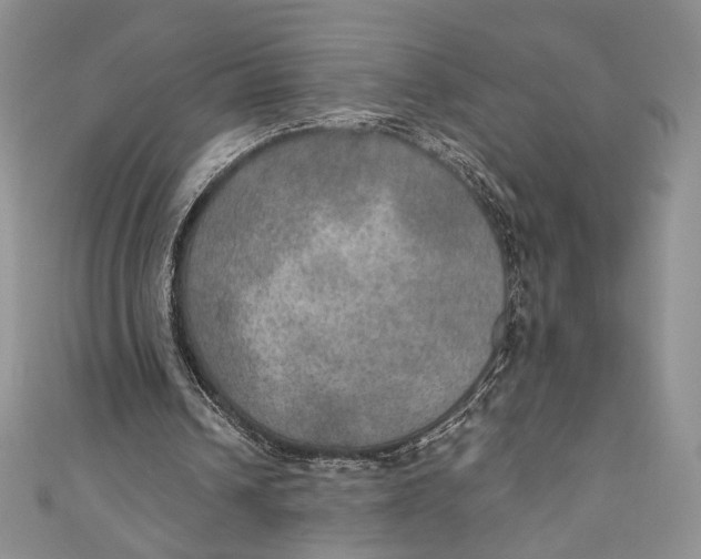 X0000110890242200907091400