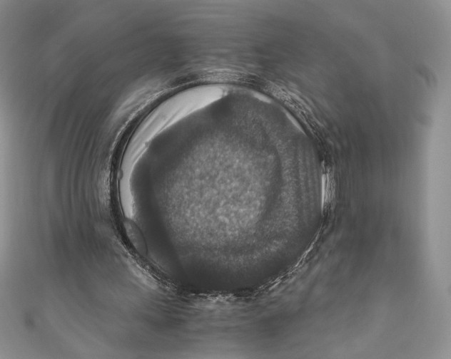 X0000110890243200907091400