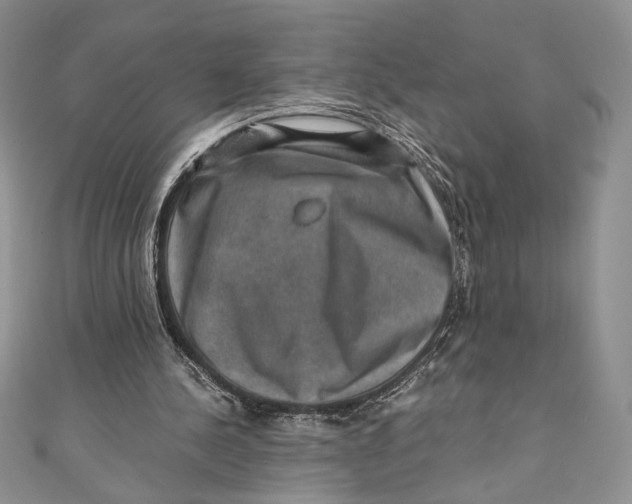 X0000110890244200907091400