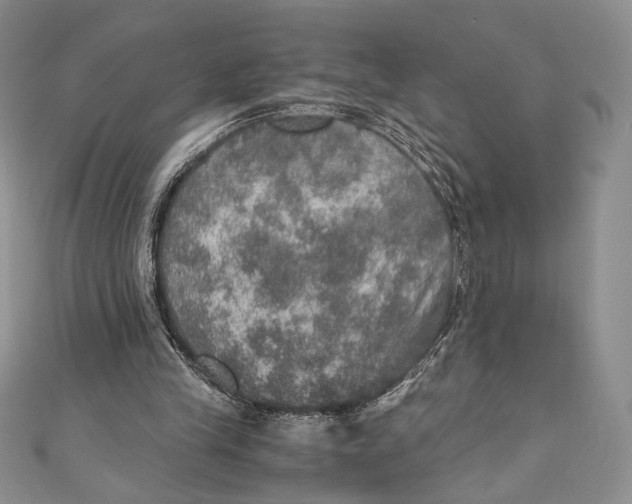 X0000110890245200907091400