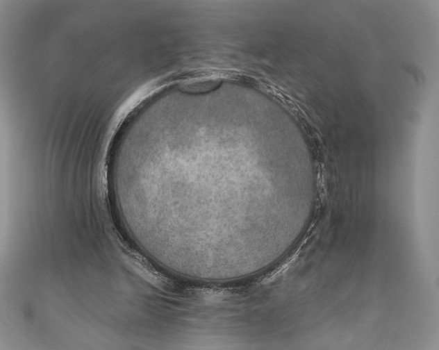 X0000110890246200907091400