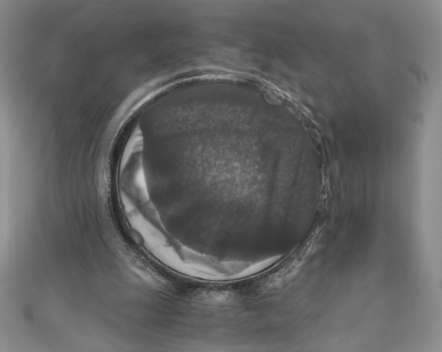 X0000110890247200907091400