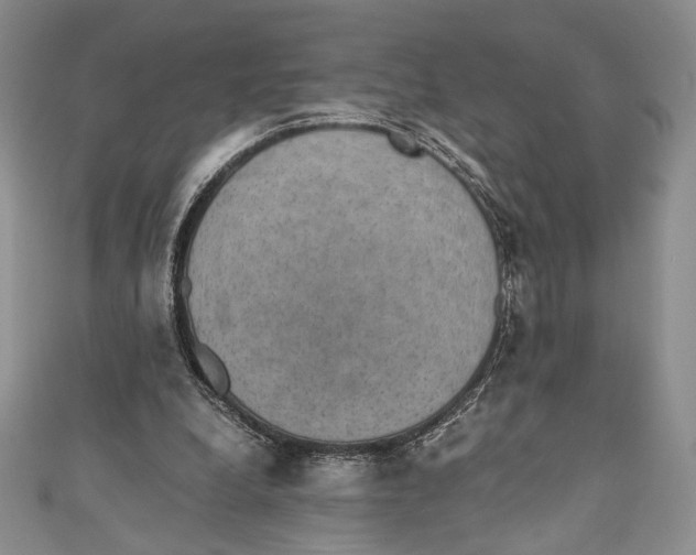 X0000110890248200907091400