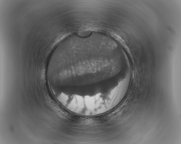 X0000110890249200907091400