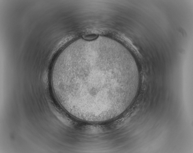 X0000110890250200907091400