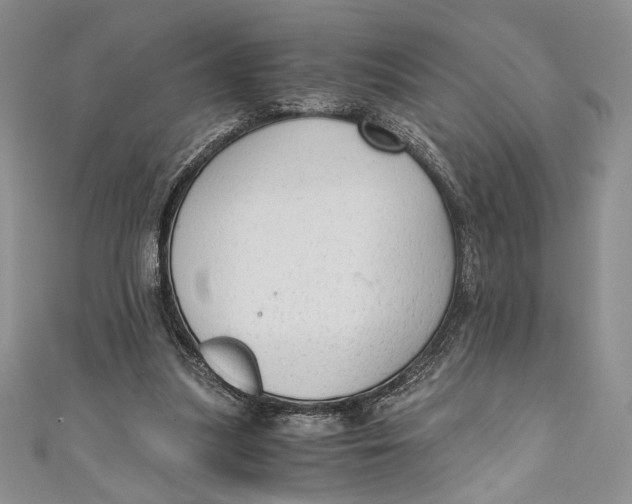 X0000110890251200907091400