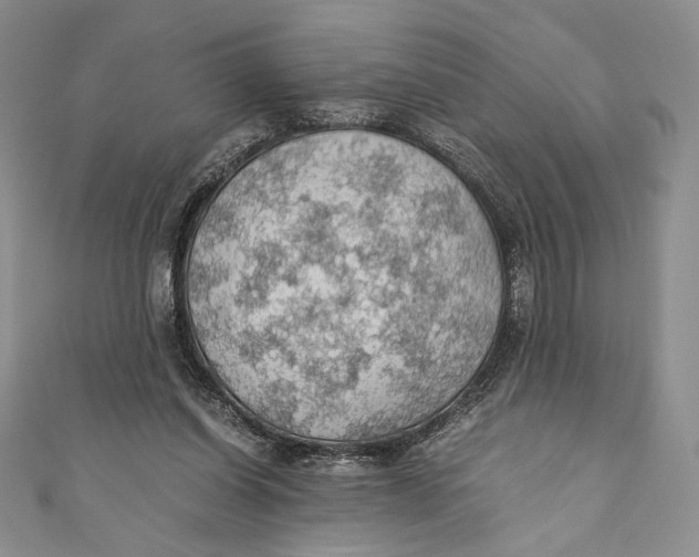 X0000110890254200907091400