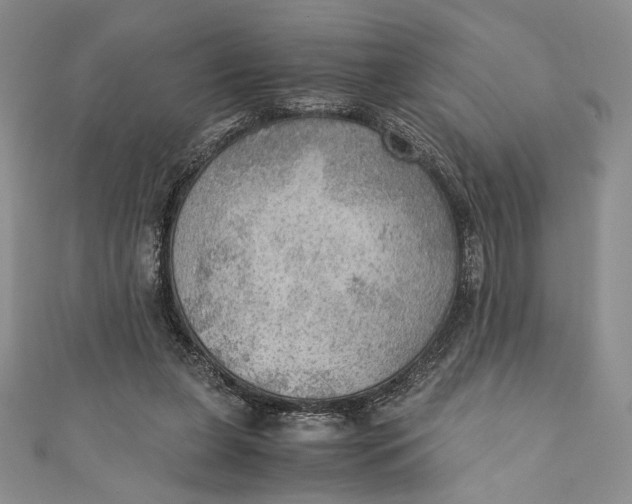 X0000110890255200907091400