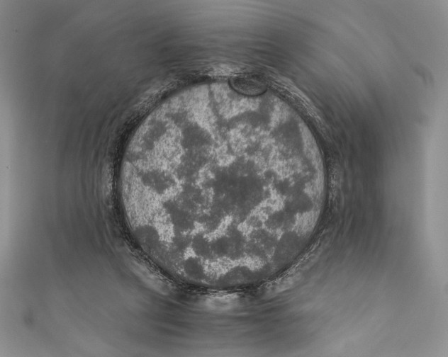 X0000110890257200907091400