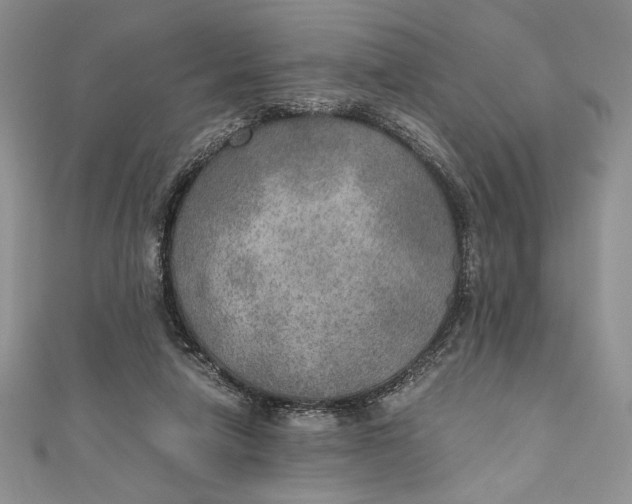 X0000110890258200907091400