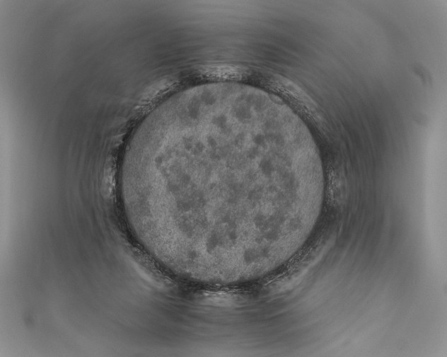 X0000110890259200907091400