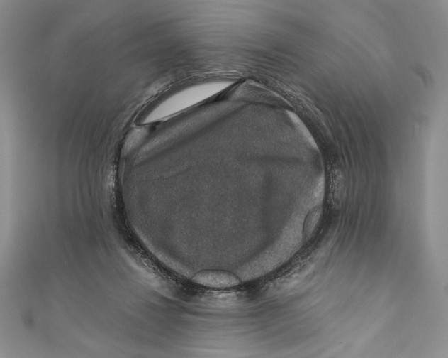 X0000110890260200907091400