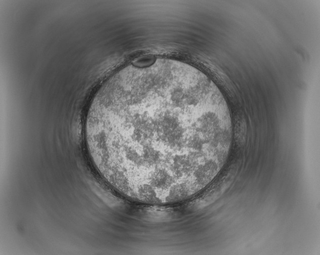 X0000110890261200907091400