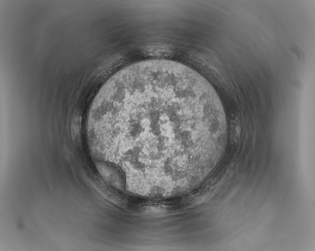 X0000110890263200907091400