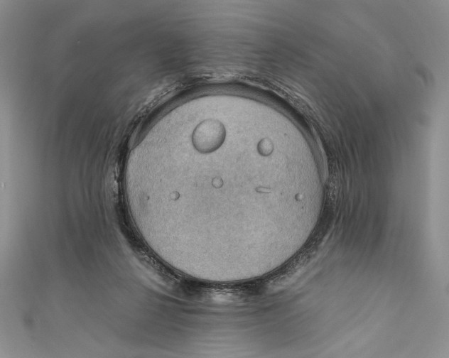 X0000110890264200907091400