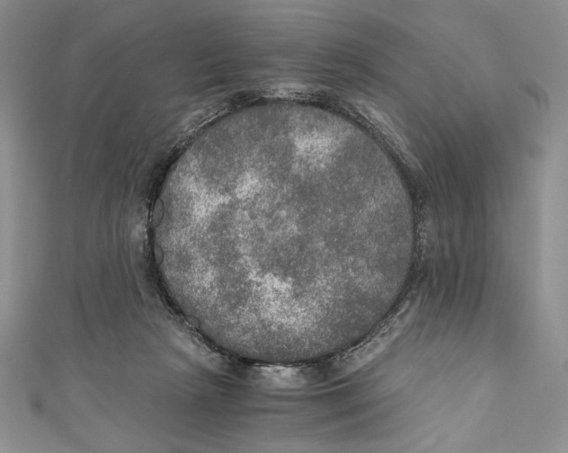 X0000110890265200907091400