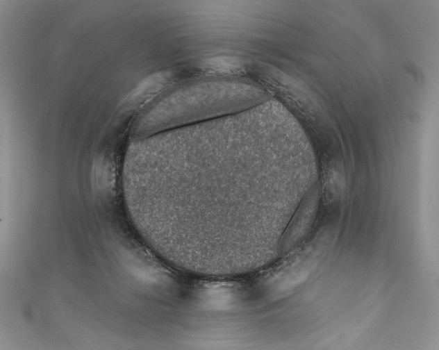 X0000110890268200907091401