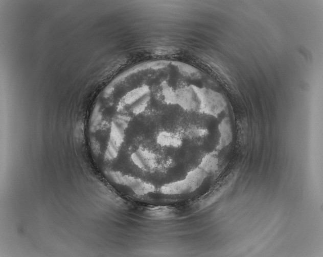 X0000110890269200907091401