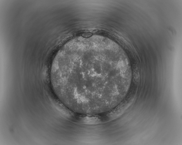 X0000110890270200907091401