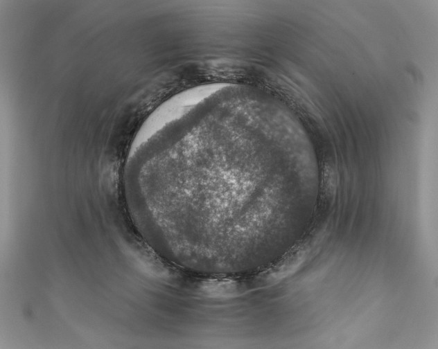 X0000110890271200907091401