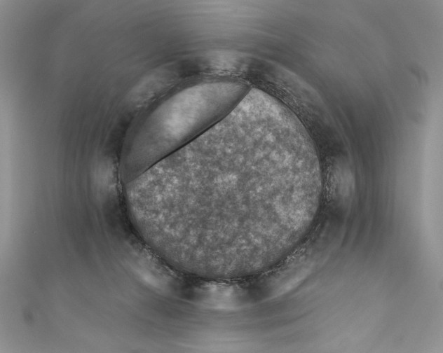 X0000110890272200907091401