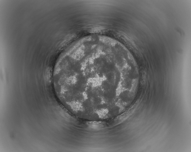 X0000110890273200907091401