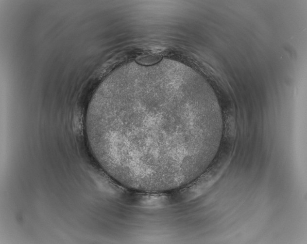 X0000110890274200907091401