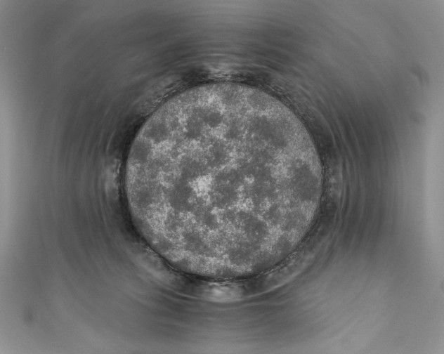 X0000110890275200907091401