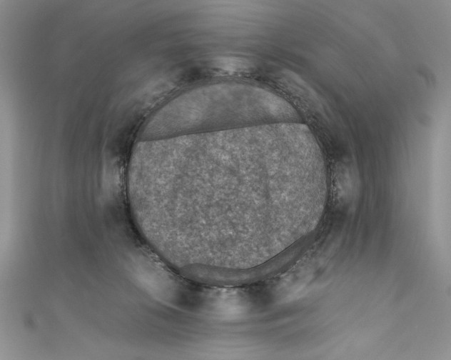 X0000110890276200907091401