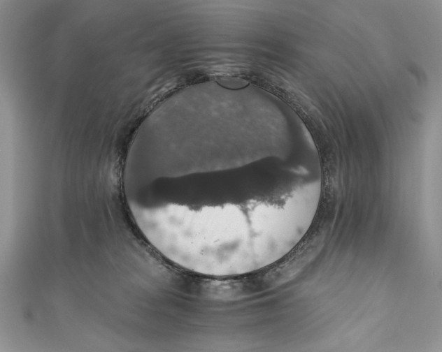 X0000110890277200907091401