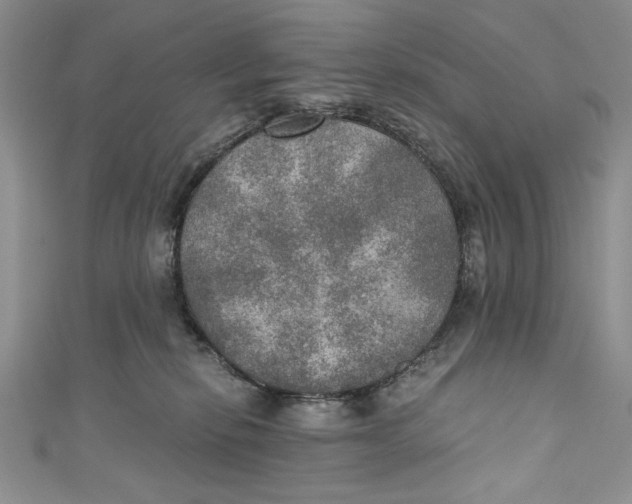 X0000110890278200907091401