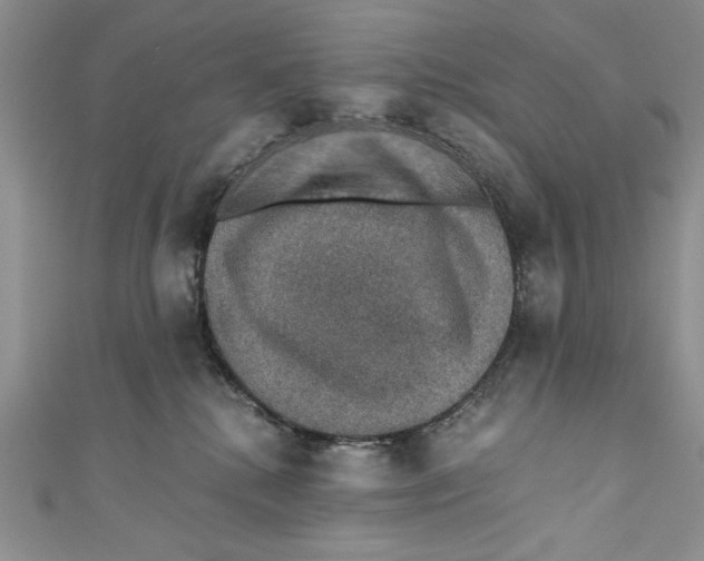 X0000110890280200907091401