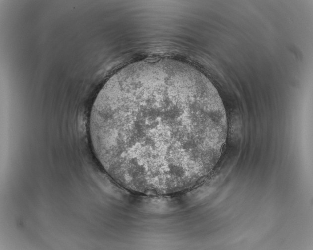 X0000110890282200907091401