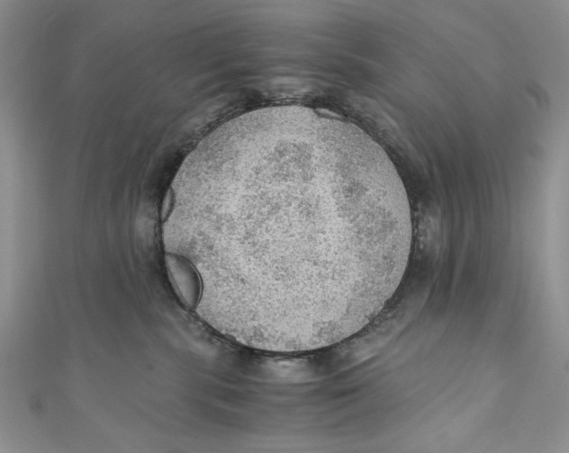 X0000110890283200907091401