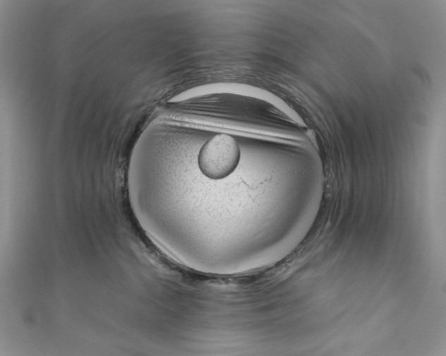 X0000110890284200907091401