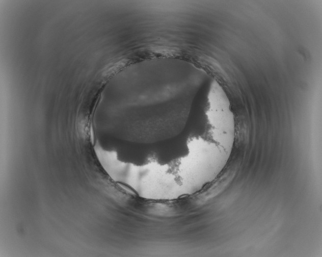 X0000110890285200907091401