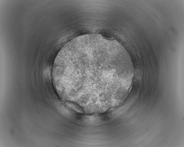 X0000110890286200907091401