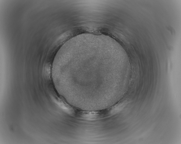 X0000110890288200907091401